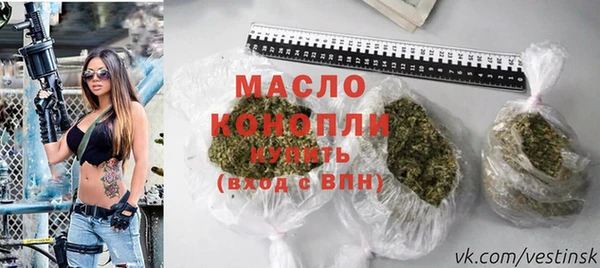 твердый Новозыбков