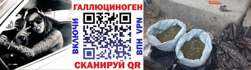 omg зеркало  Правдинск  Галлюциногенные грибы Psilocybe 
